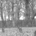 Asylum Cemetary Ghost Caught
