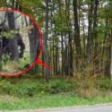 Another Big Foot Pic?