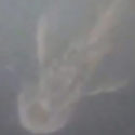 Loch Ness Monster Caught on Satellite?