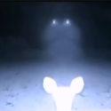 UFO Caught on trail camera