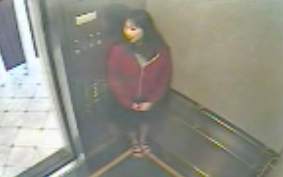 eliza lam elevator game eliza lam elevator game
