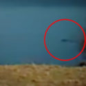 New Loch Ness Monster Footage?